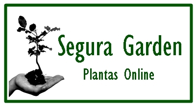 Logo de Segura Garden