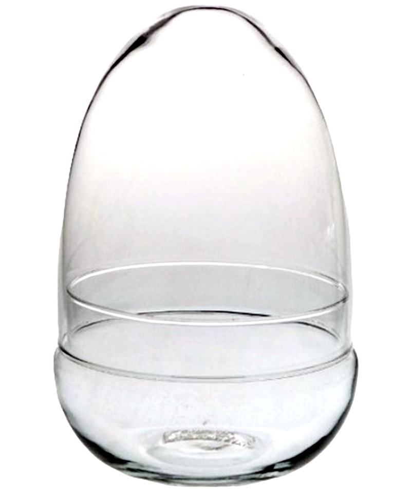 Cúpula de cristal preservada con cúpula de cúpula transparente Cloche Bell  Jar Pantalla de terrario Cúpula Botella ecológica para plantas suculentas