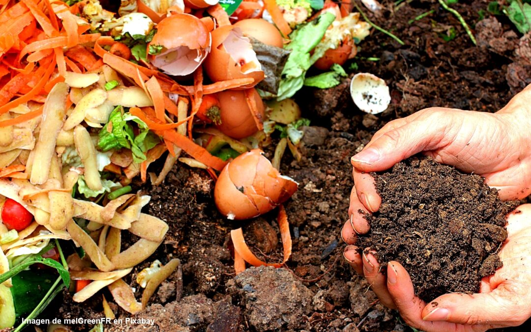 Como elaborar un fertilizante casero para tus plantas